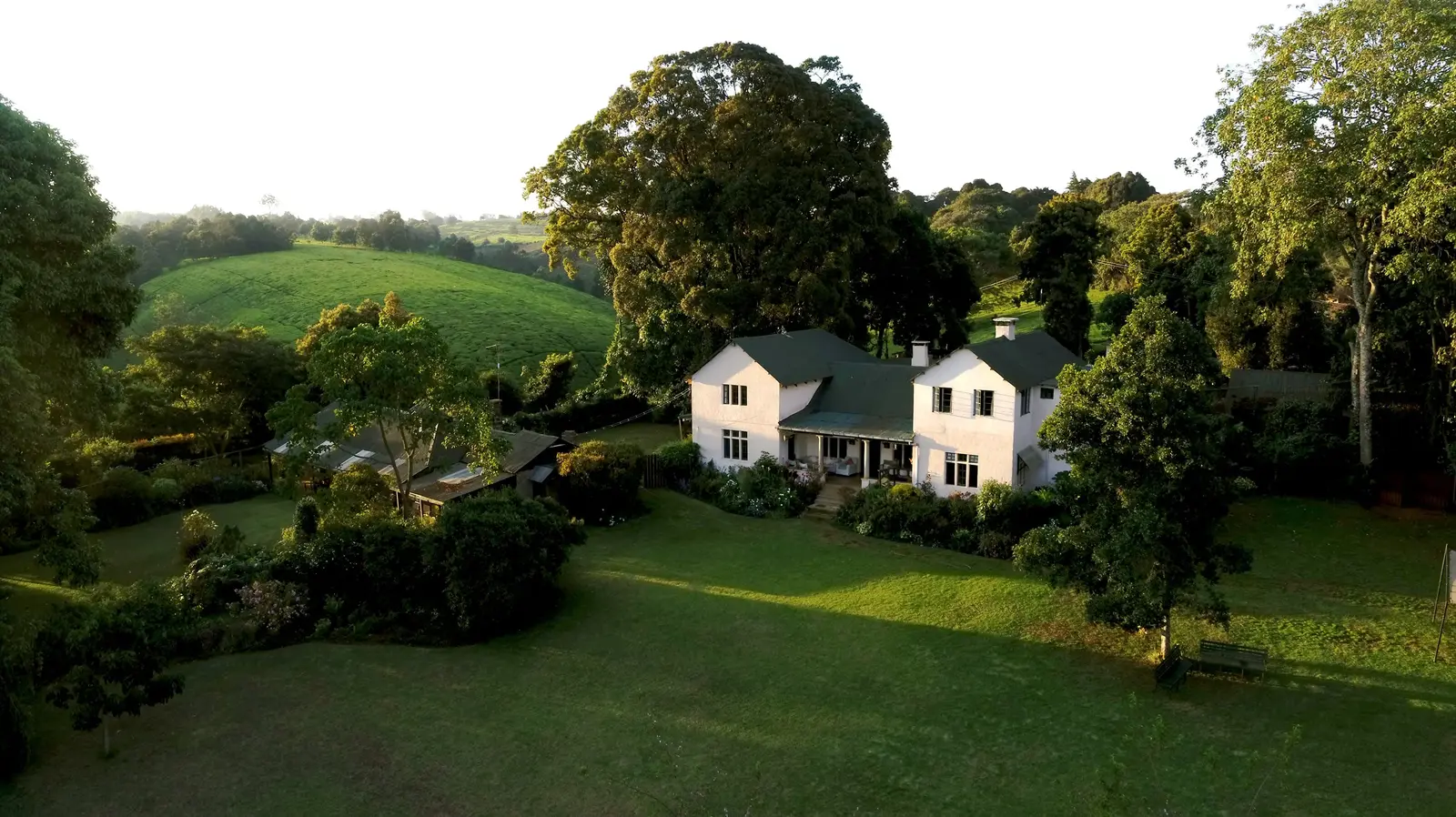Kiambethu Tea Farm Half Day Tour