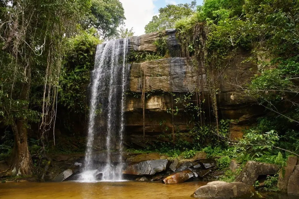 Shimba Hills Rainforest Safari