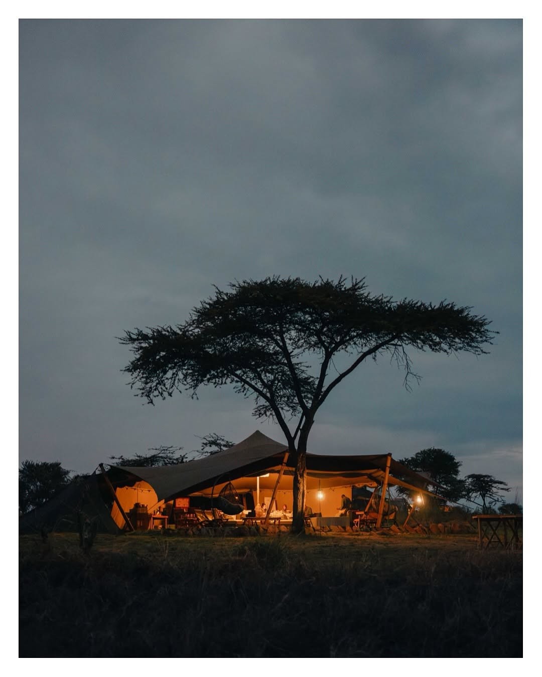 Classic Kenya Safari