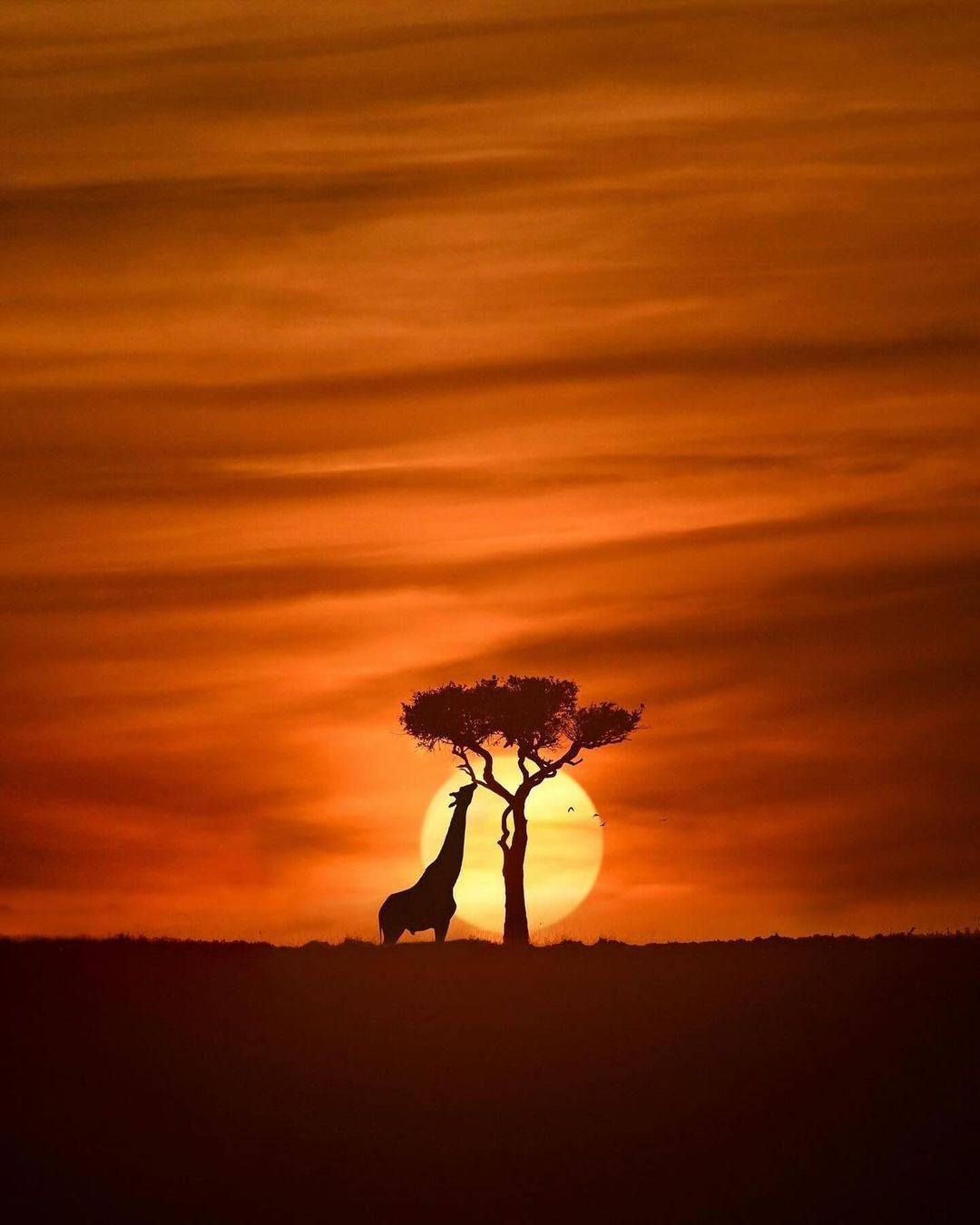 Explore Kenya Safari (Classic)