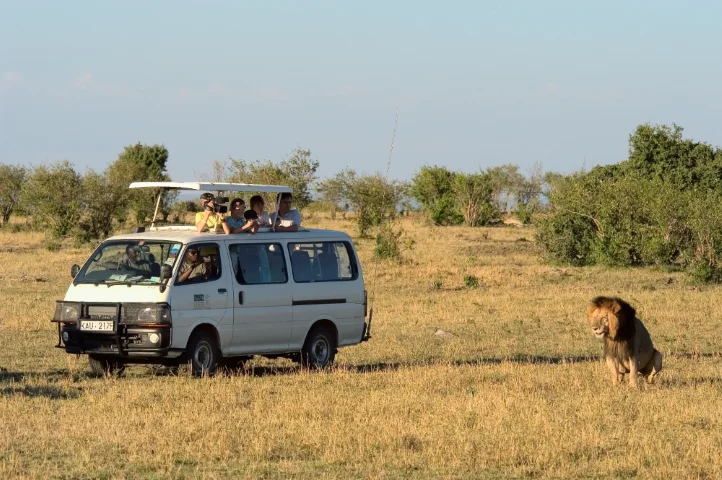Safari Van